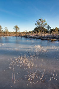 Scenic view of lake against sky during winter