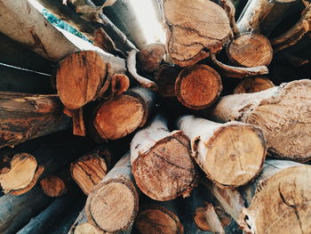 Stack of firewood