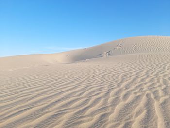 Dune in desert of algeria
