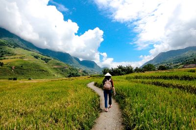 Rear view of man walking on field against sky