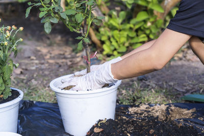 gardening