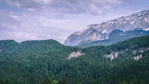 Trees and mountains against sky