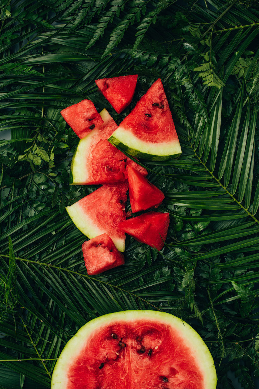 watermelon, plant, food and drink, food, healthy eating, melon, fruit, freshness, wellbeing, produce, green, slice, no people, red, leaf, high angle view, plant part, flower, nature, close-up, juicy, still life, directly above