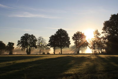 Silhouette trees in park against sky