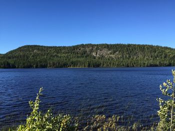 Scenic view of lake against clear blue sky