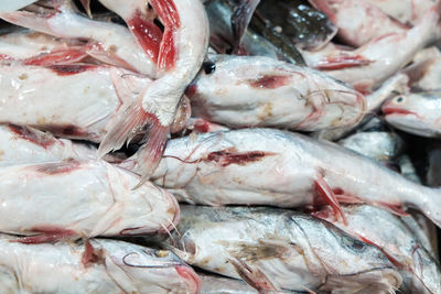 Full frame shot of fish for sale in market