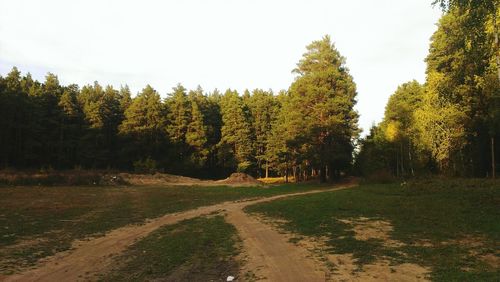 Scenic view of landscape and trees against sky