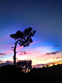 Silhouette of trees at sunset