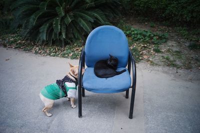 High angle view of person on footpath by street in city