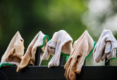 Close-up of clothes drying on clothesline