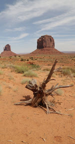 Driftwood on rock in desert against sky