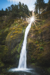 Scenic view of waterfall in forest