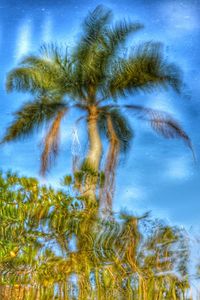 Close-up of trees against blue sky