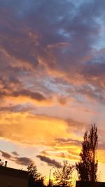 Low angle view of silhouette trees against dramatic sky