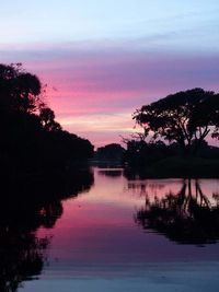 Reflection of trees in calm lake
