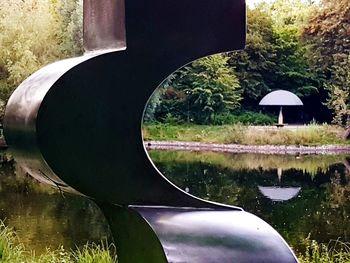 Trees and grass in water
