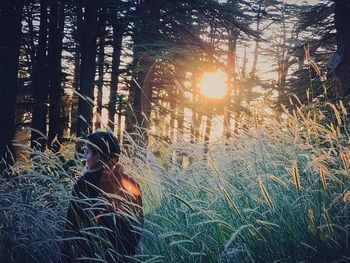 Man sitting on field in forest during sunset