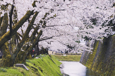 Bridge over river