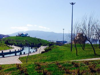 Scenic view of grassy field against sky