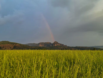 Scenic view of field against rainbow in sky