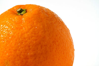 Close-up of orange against white background