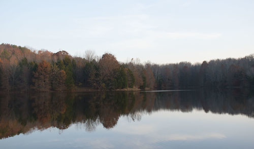 Reflection of trees in lake against sky