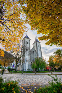 Trees and buildings against sky during autumn