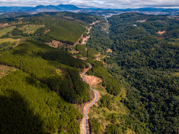 High angle view of road amidst trees in forest