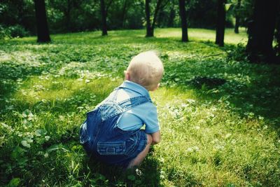 Rear view of man on grassy field