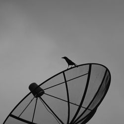 Low angle view of silhouette bird on satellite dish against clear sky