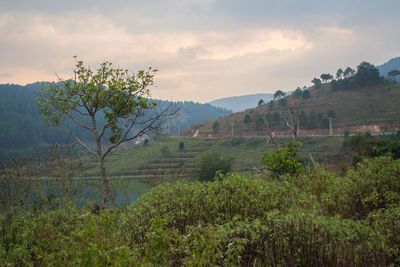 Scenic view of mountains against cloudy sky