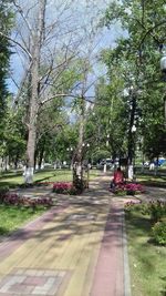 View of park in city