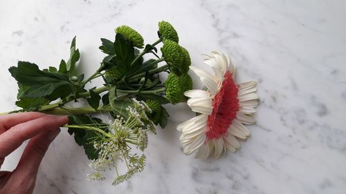 Midsection of person holding bouquet against white wall