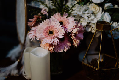 Close-up of white flowers in vase