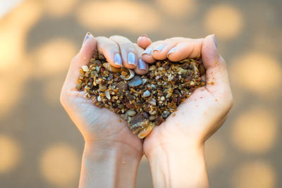 Cropped hands of woman holding shells in heart shape outdoors