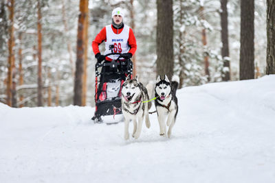 Full length of a dog on snow