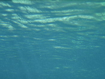 Full frame shot of swimming underwater
