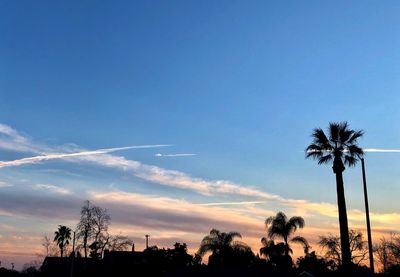 Silhouette palm trees against sky during sunset