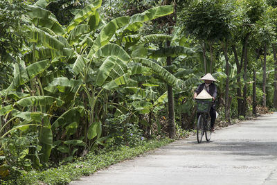 Woman riding bicycle on road by trees