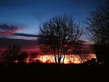 Silhouette of bare trees against sky at sunset