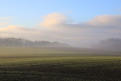 Scenic view of field against sky during foggy weather