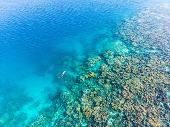 High angle view of underwater swimming in sea