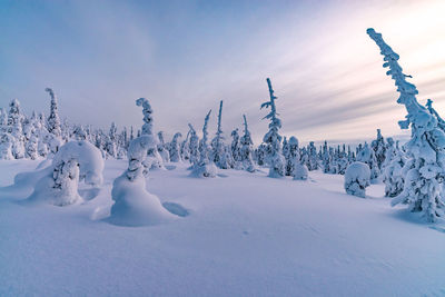 Panoramic view of snow covered field against sky