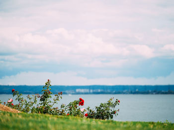 Scenic view of sea against cloudy sky