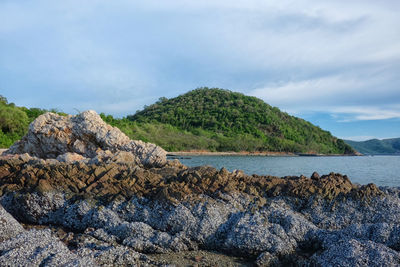 Scenic view of rocks by sea against sky