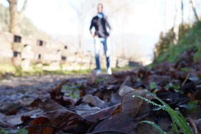 Man standing by dry leaves on field