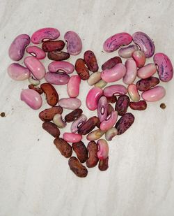 High angle view of pink flowers