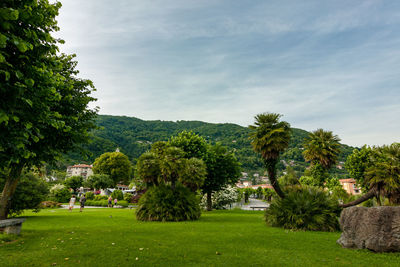 Trees in park against sky