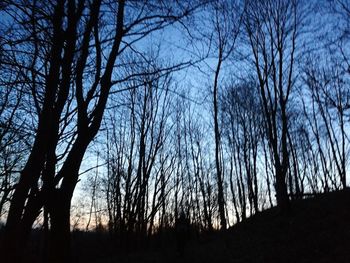 Low angle view of silhouette bare trees against sky
