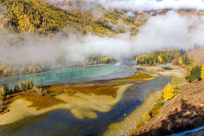 Scenic view of trees on landscape